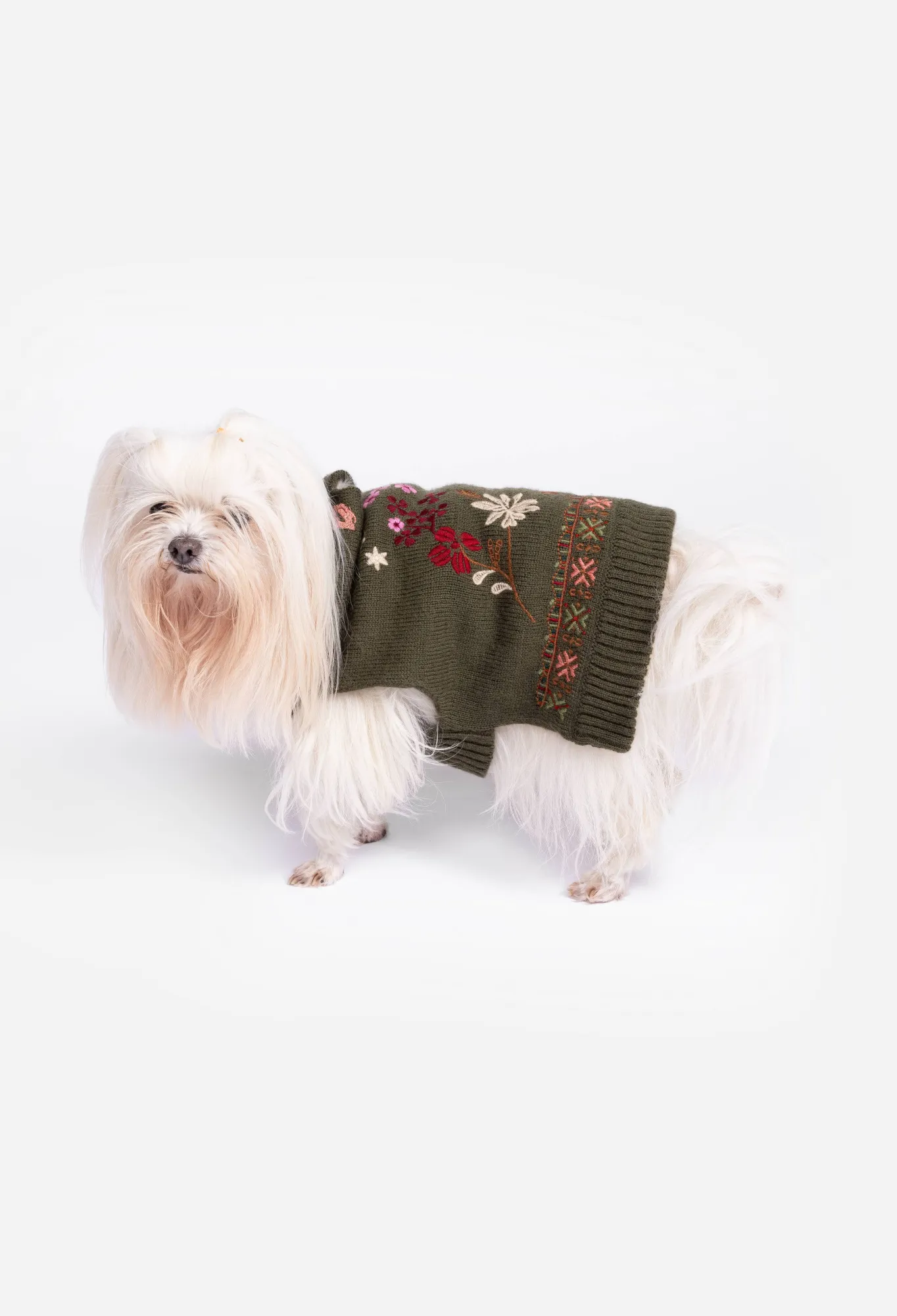 Hot Zuzu Embroidered Dog Sweater Women Pet Accessories